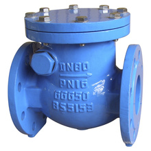 BS5163 brass seated double flange swing check valve